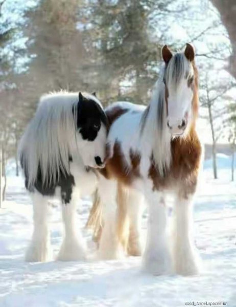 file_83390000