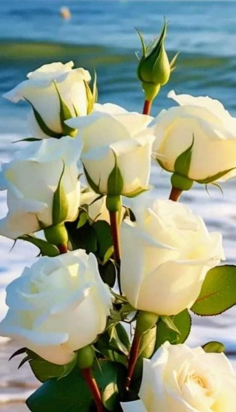 FB IMG 1715918192510