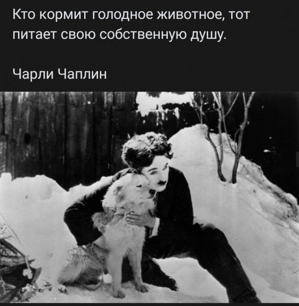 file_96046122
