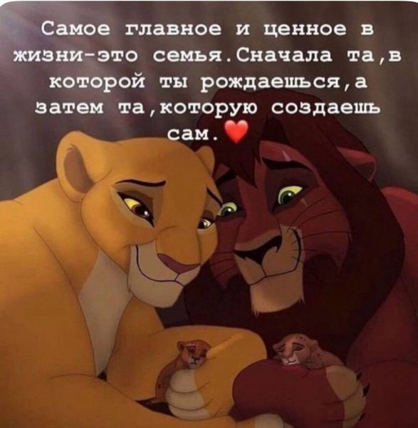 IMG 20250528 082707 355