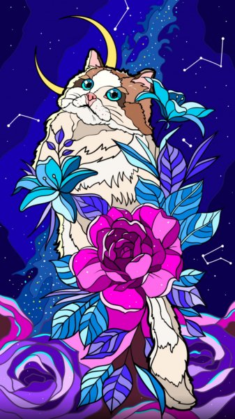 5e15a5a6696f26a45d5ce680wallPaper