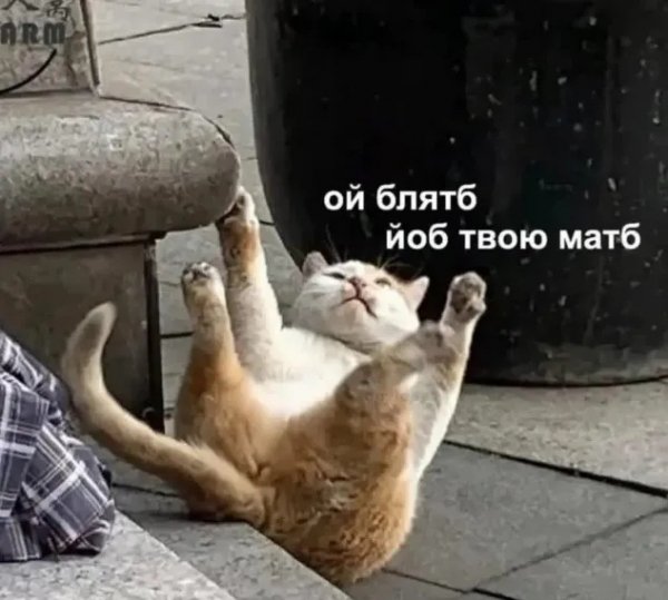 file_102879284