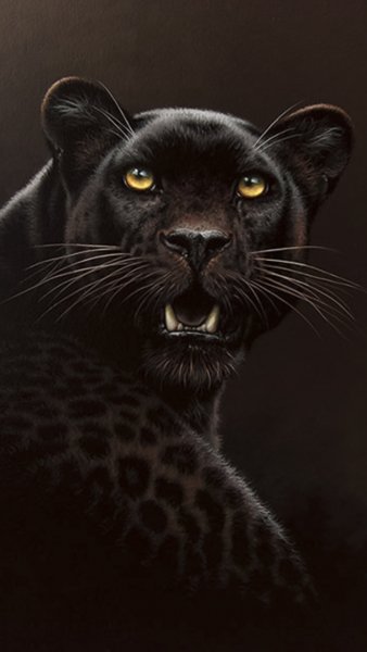 Ebony-wallpaper-10873575