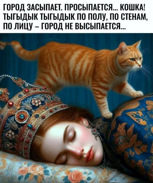 FB IMG 1749181098666