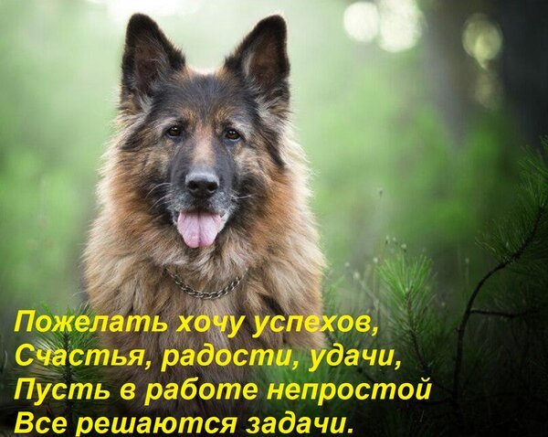 Открытка пожелать хочу успехов счастья