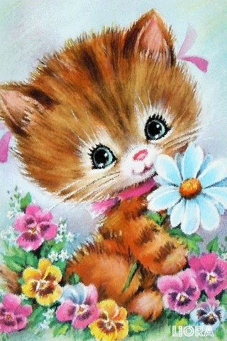 file_79768215