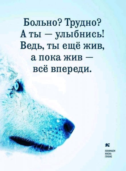 FB IMG 16230003676178930