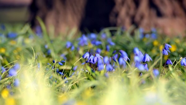 file_82332793