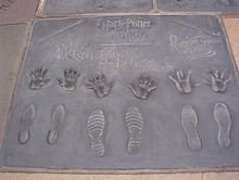 Harry Potter cast