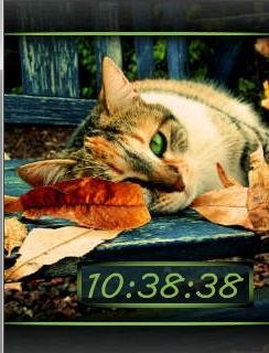 Autumn