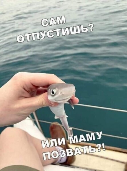 file_84452169