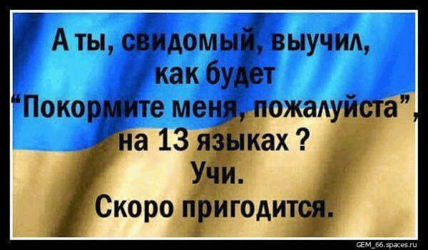 Свидомит
