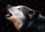 Abstract Wolf
