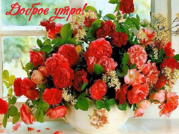 file_64994115