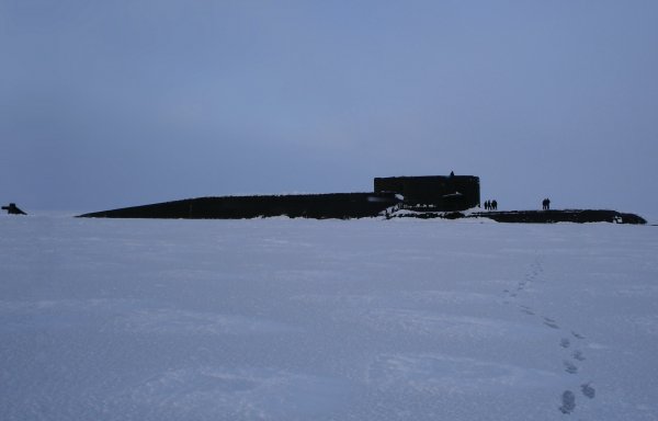 IMG viter59 203636
