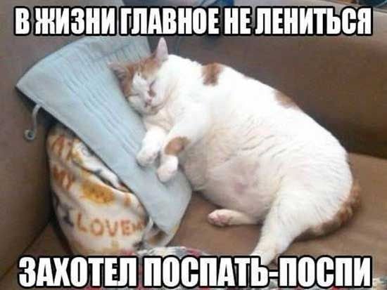 главное не ленится