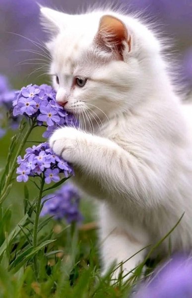 file_100583607