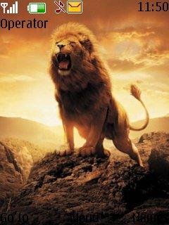 Lion sunset