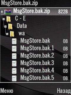 WhatsApp MsgStore.bak