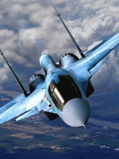 file_33975451