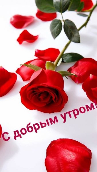 file_90717526