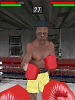Muhammad Ali Boxing 3D