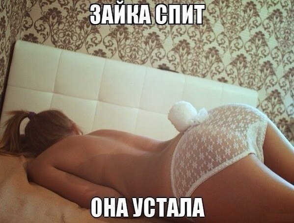 file_82081242
