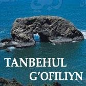 Tanbehul gofilin ziyouz.com
