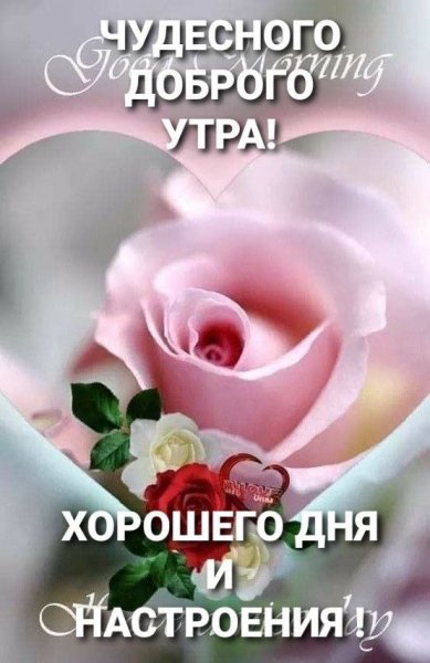 file_92662047
