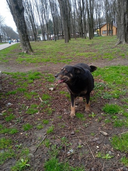 IMG 20240308 135657 1