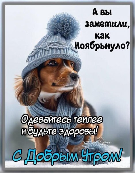 IMG 20231115 153610