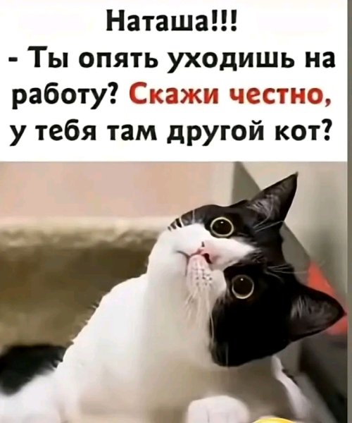 file_103311870