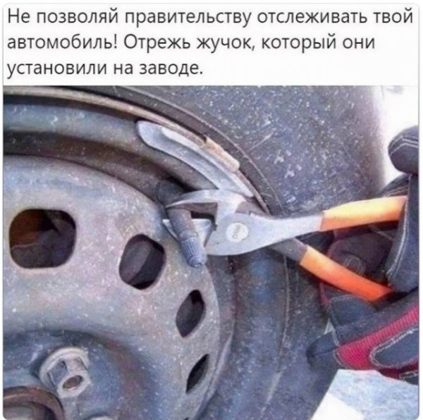 file_103252896