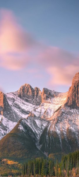 adapted 1080x2400 1753563899