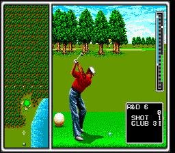 Arnold Palmer Tournament Golf