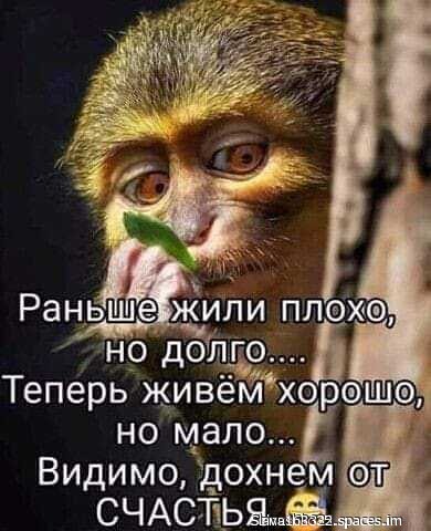 file_85347115