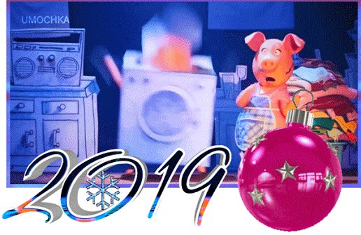 u026wth81zgqmq6