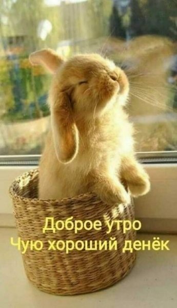 file_92670395
