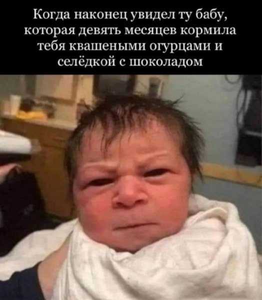 file_103456561