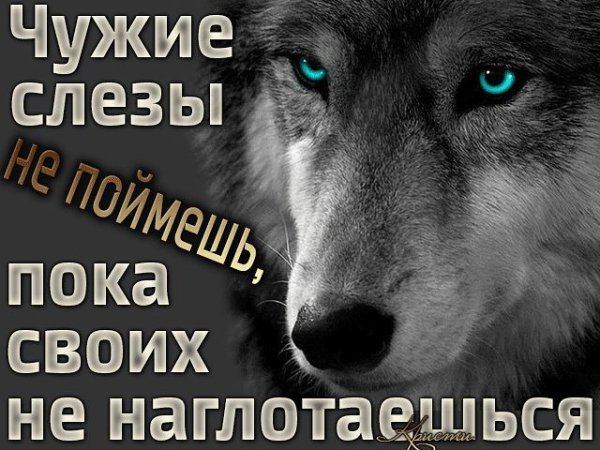Слёзы