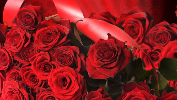 Image (6)