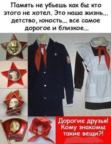 e3100136d4e5a95125578bc