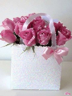 file_55663986