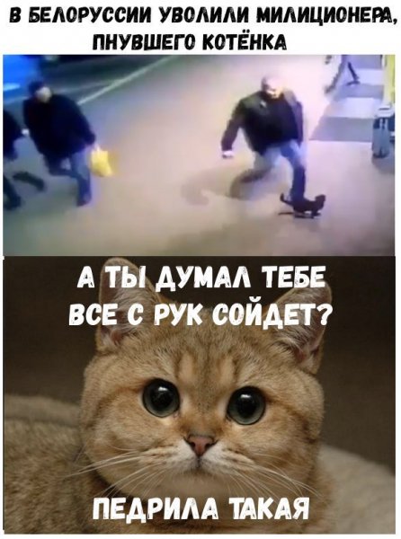 Не Сошло