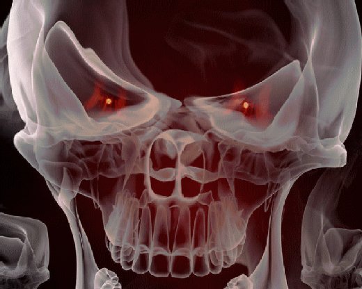 skull