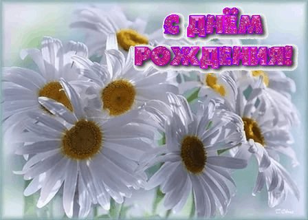 С Днём рождения!Ромашки