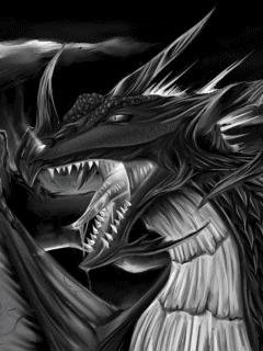 dragon anim