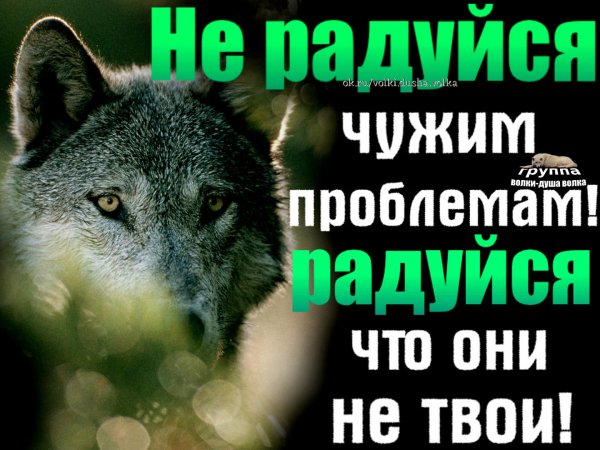 Не радуйся