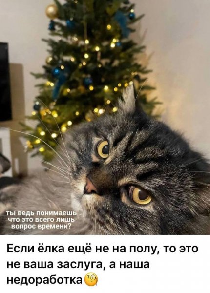 C853ad272655ceab054defecf129d64e