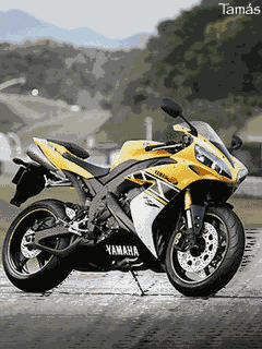 Moto 3